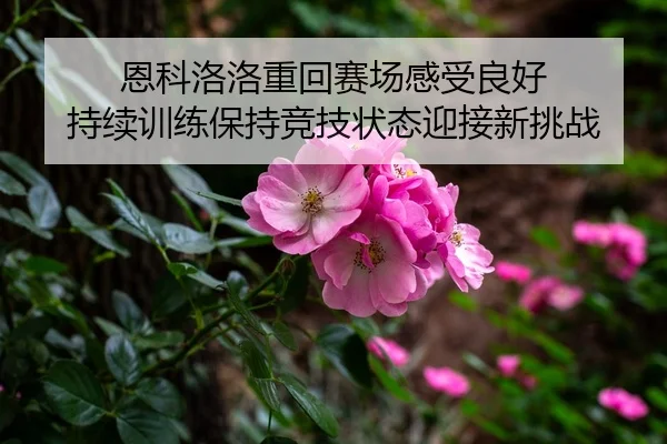 恩科洛洛重回赛场感受良好 持续训练保持竞技状态迎接新挑战